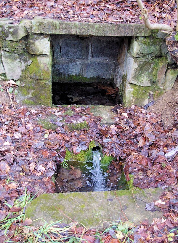 studánka U Koménky (6332) - prosinec 2012