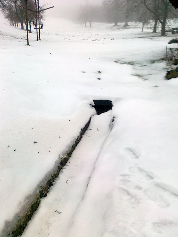 studánka Za humny (6335) - prosinec 2012