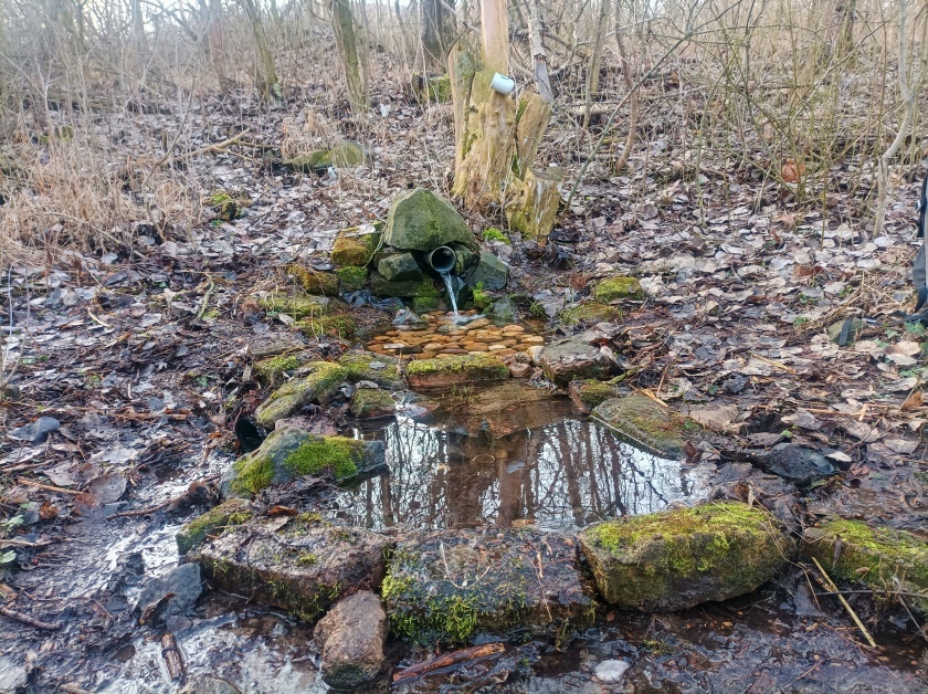 studánka Na Hýkovině (6353) - únor 2024