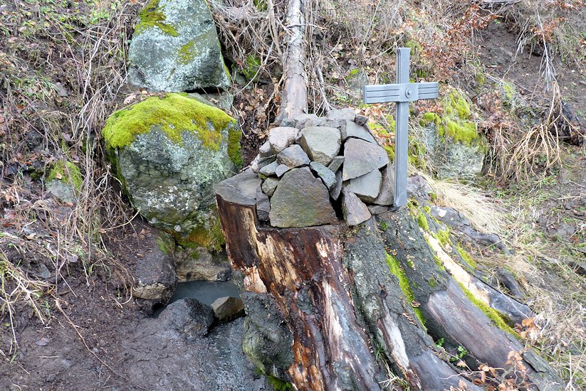 pramen Řapova studánka (6364) - leden 2013