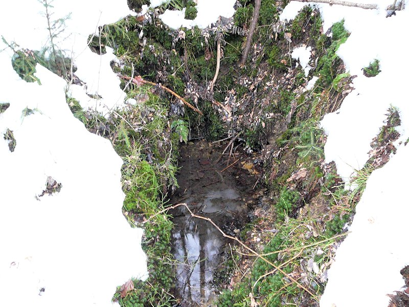 studánka Pod Zacharovcem (6376) - leden 2013
