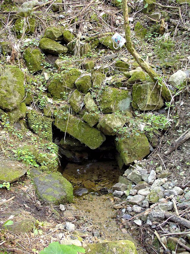 studánka U kamenného domku (6379) - leden 2013