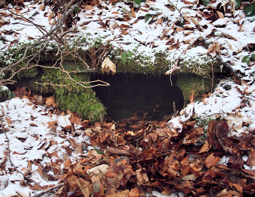 studánka U Solárky (6388) - leden 2013