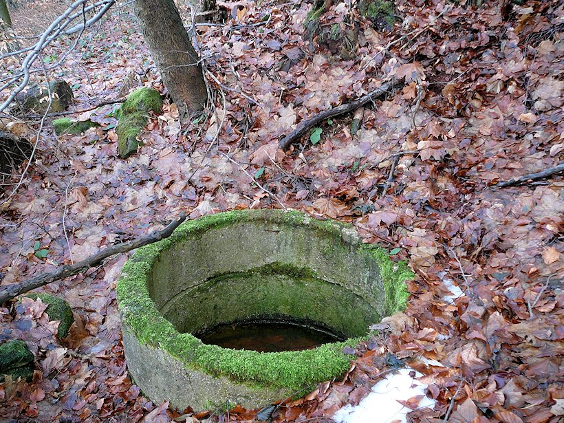 studánka Za Třebovskými stěnami (6391) - leden 2013