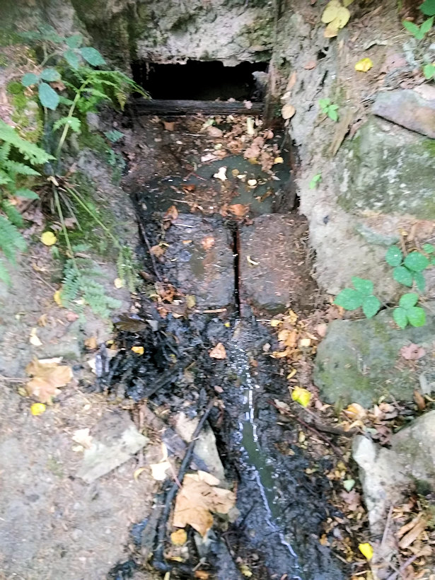 studánka Nad tábořištěm (6392) - datum neznámé