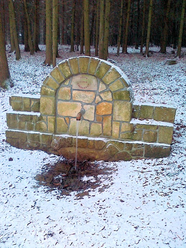 studánka Za Oborou (6398) - leden 2013