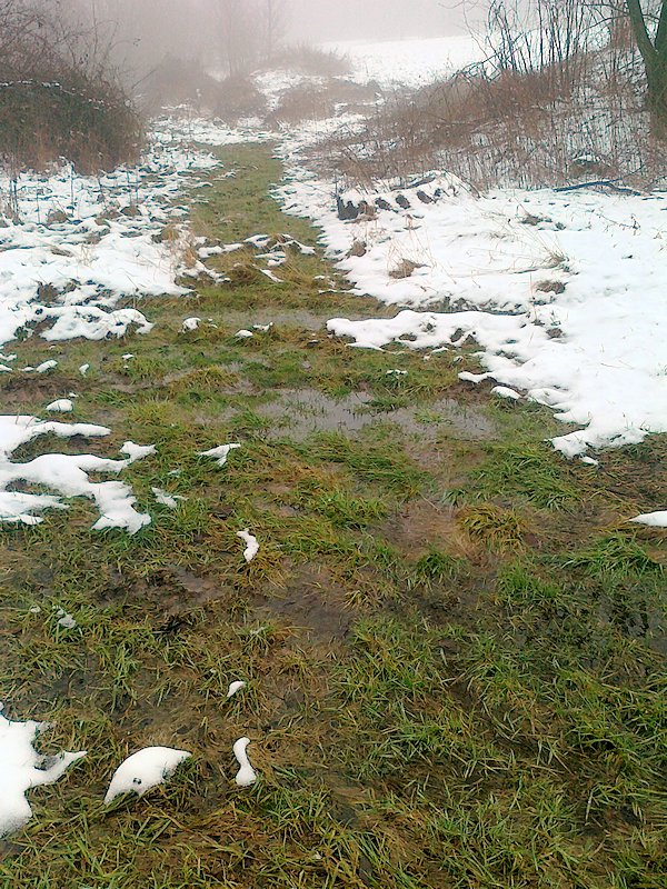 prameniště V Hliníkách (6402) - leden 2013