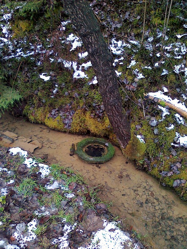 studánka V Hlubočku (6406) - leden 2013
