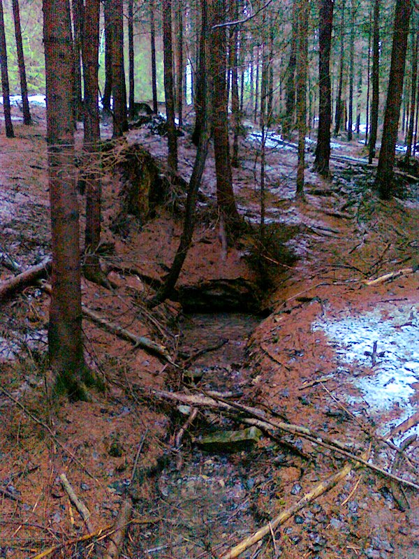 studánka V Černém lese (6407) - leden 2013