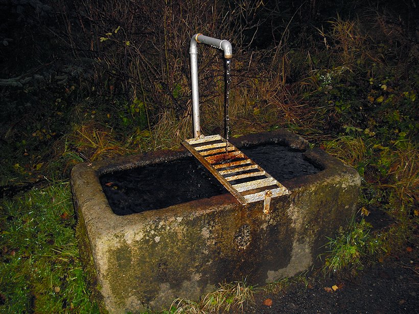 studánka bez jména (6410) - leden 2013