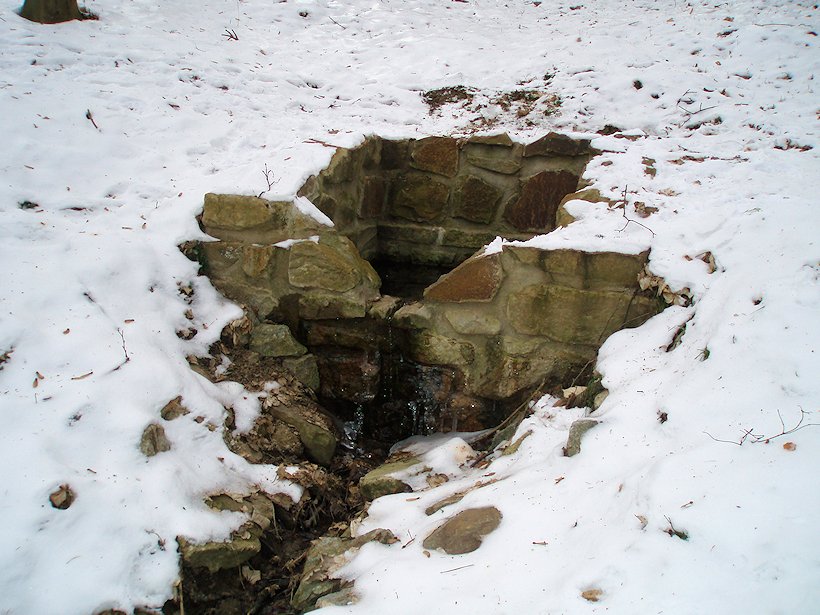 studánka bez jména (6429) - leden 2013
