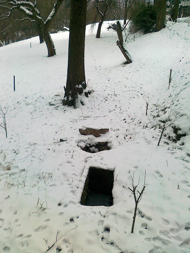 studánka Pod zahrádkami (6432) - leden 2013