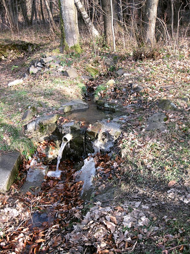 pramen Pod Smrčkem (6434) - leden 2013