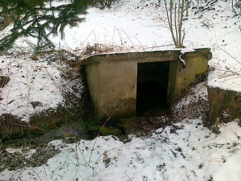 studánka Nad Dolním rybníkem (6441) - leden 2013