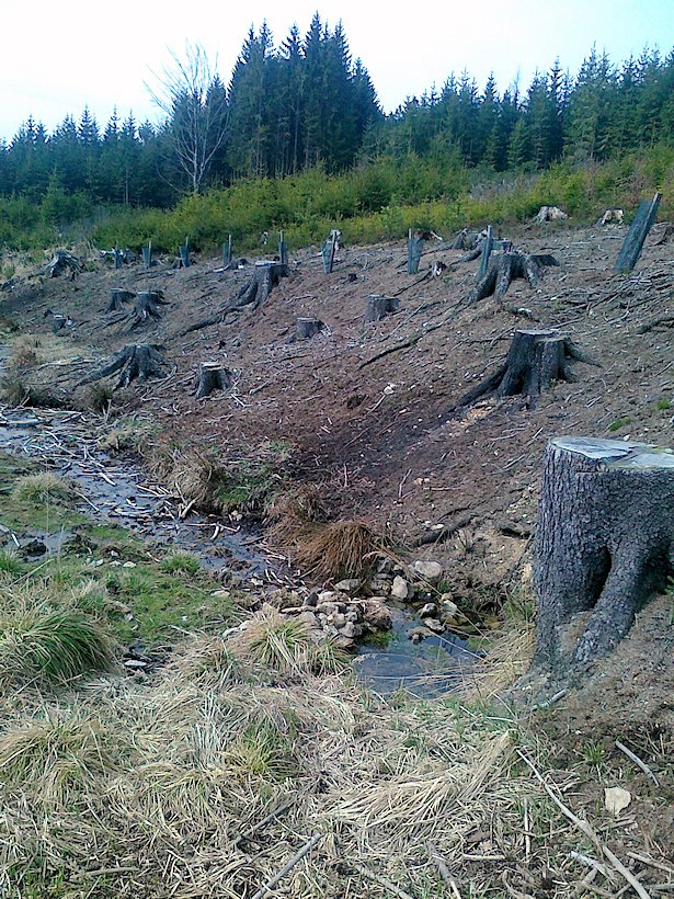 Stříbrná studánka (6444) - leden 2013