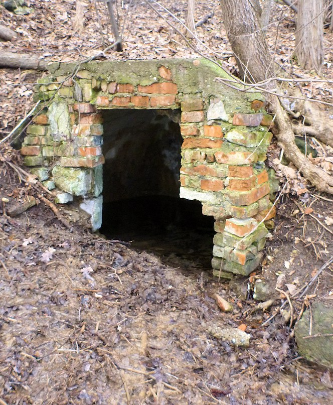 jiný vodní zdroj Kralupský (6457) - únor 2013