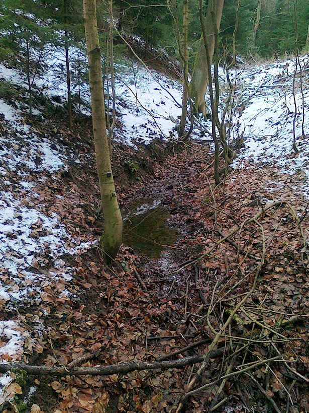 pramen Nad Mandlem (6463) - únor 2013