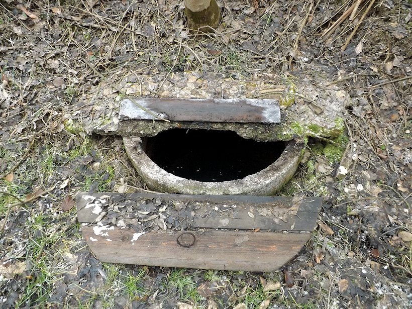 studánka Pod Jednovem (6468) - únor 2013