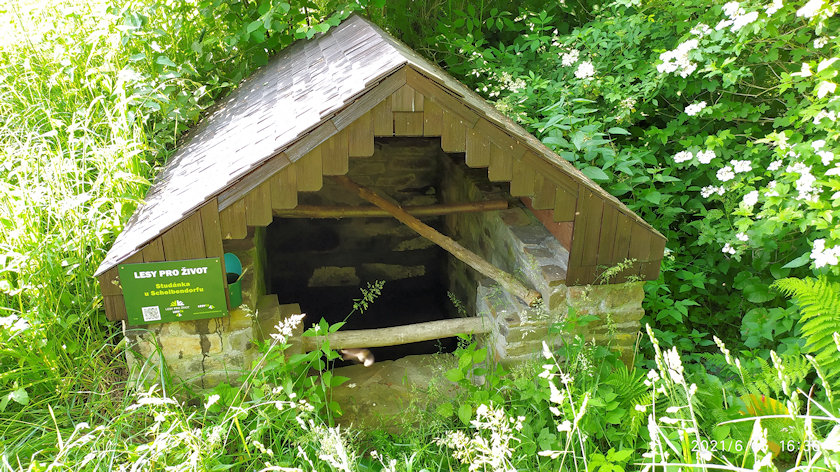 Studánka u Schelbendorfu (6469) - červen 2021