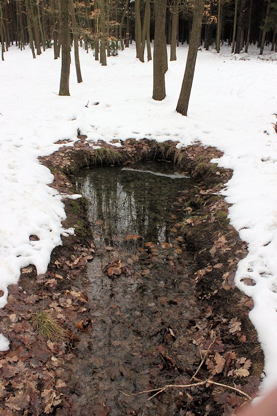 Hyrmanova studánka (6489) - únor 2013