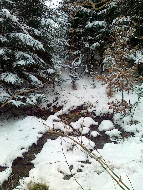 pramen Trpík I (6496) - únor 2013