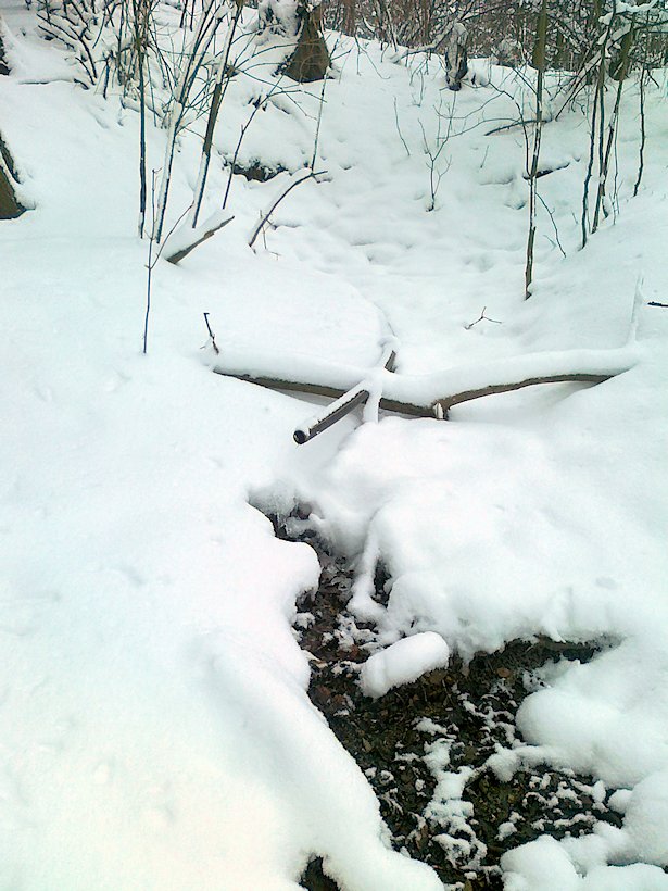 studánka Pod Kozlovcem (6511) - únor 2013