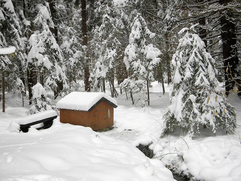 studánka U Síglu (6515) - březen 2013