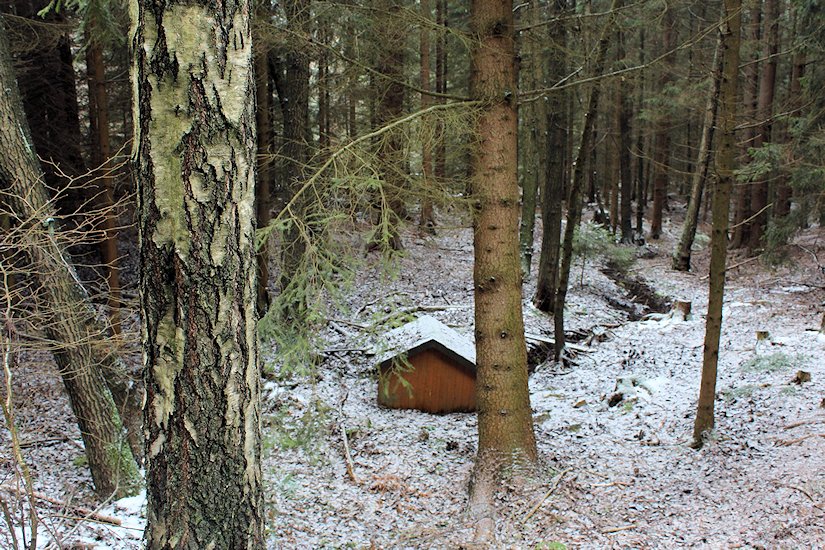 studánka Na rozcestí (6517) - březen 2013