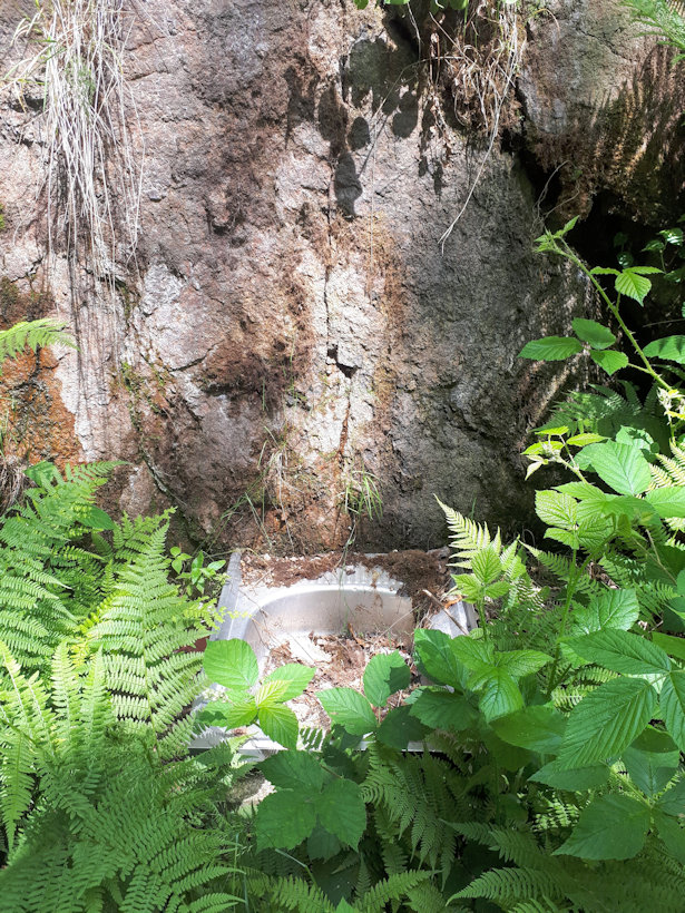 studánka bez jména (6544) - červen 2019