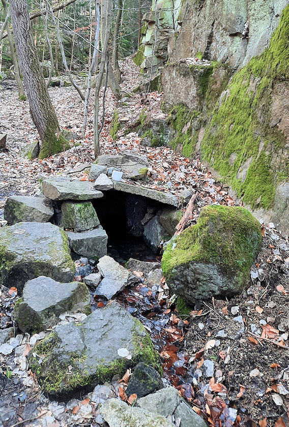 studánka bez jména (6545) - únor 2022