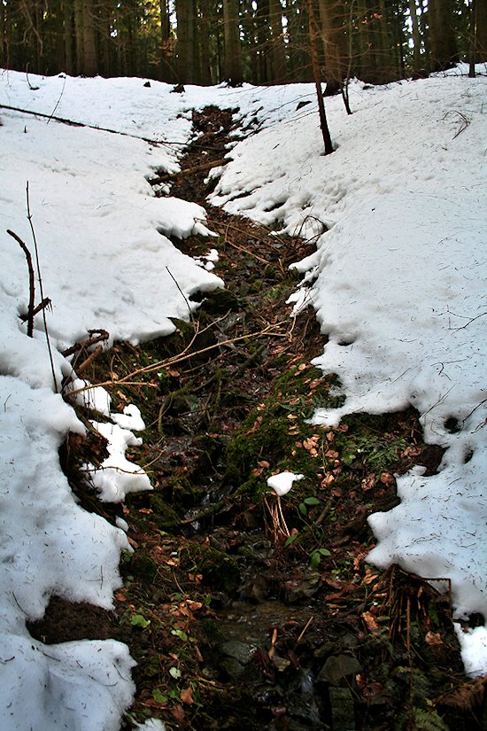 pramen U Skal (6547) - březen 2013