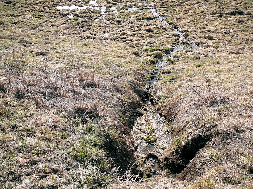 Pramen Knajpovského potoka (6549) - březen 2013