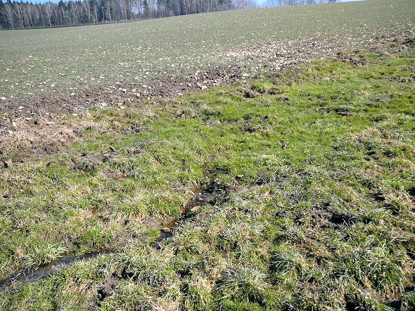 Prameniště Sojčího potoka (6551) - březen 2013