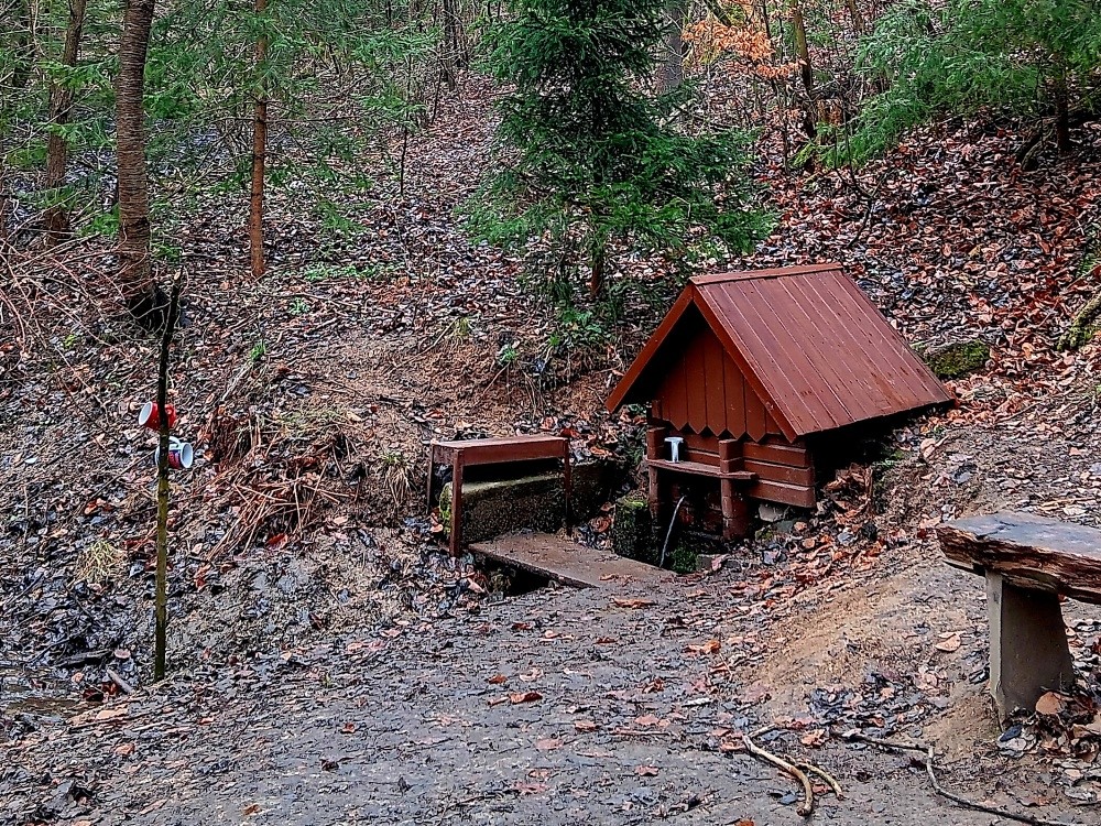 studánka Ve Vlčkově zmole (6553) - březen 2025