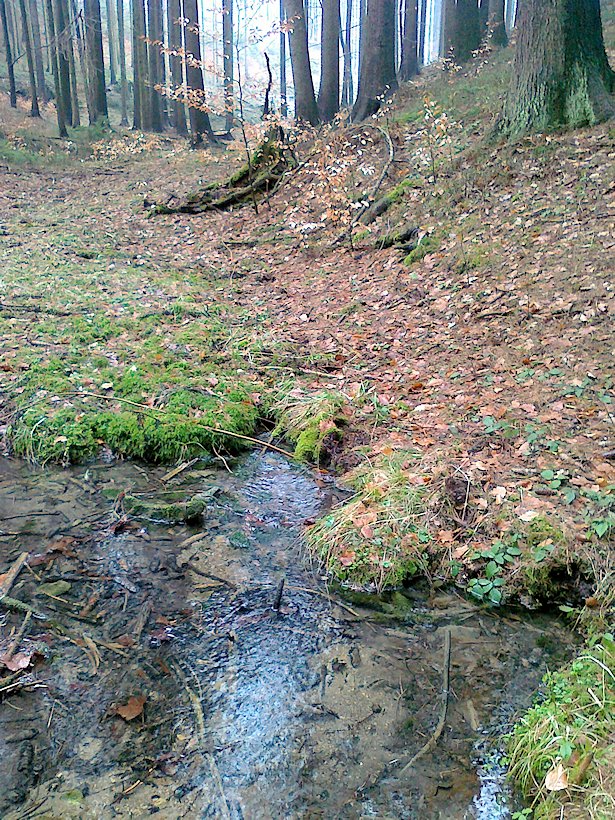 pramen Nad vodárnou (6556) - březen 2013
