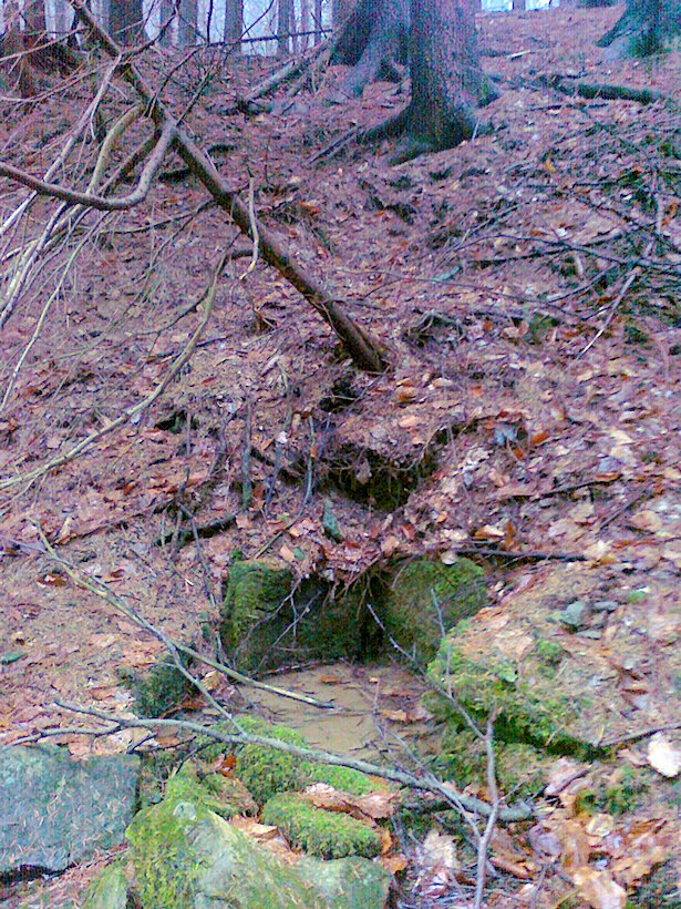 studánka Pod lékárníkovou chatou (6557) - březen 2013