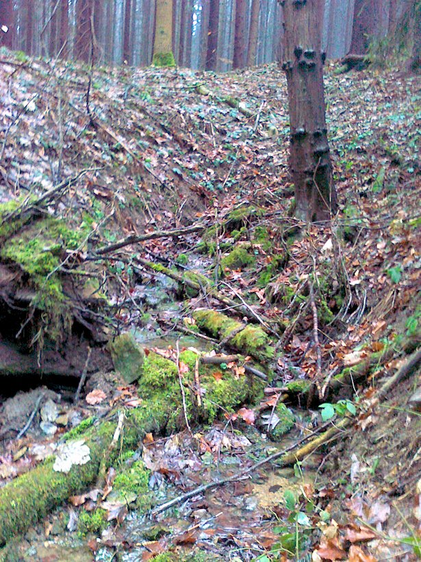 pramen Pod rozcestím (6562) - březen 2013