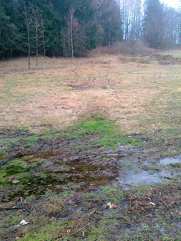 prameniště Pramen Hlubočku (6564) - březen 2013
