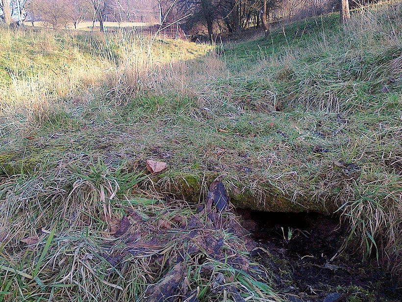 studánka Běhulova (6569) - březen 2013