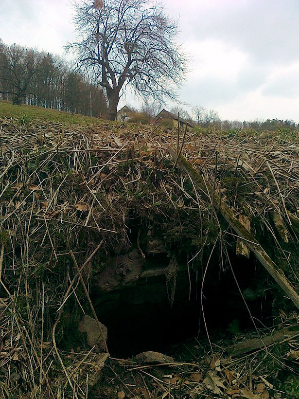 studánka Vývodová (6573) - březen 2013