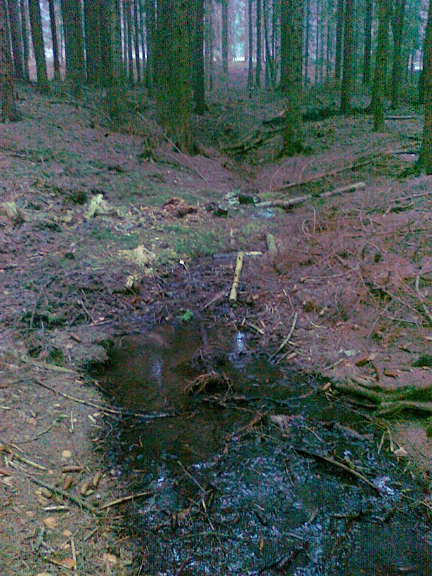 pramen Nad Dolním Mrázovcem (6585) - březen 2013