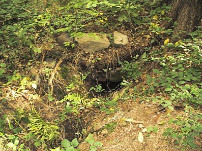studánka bez jména (6593) - březen 2013