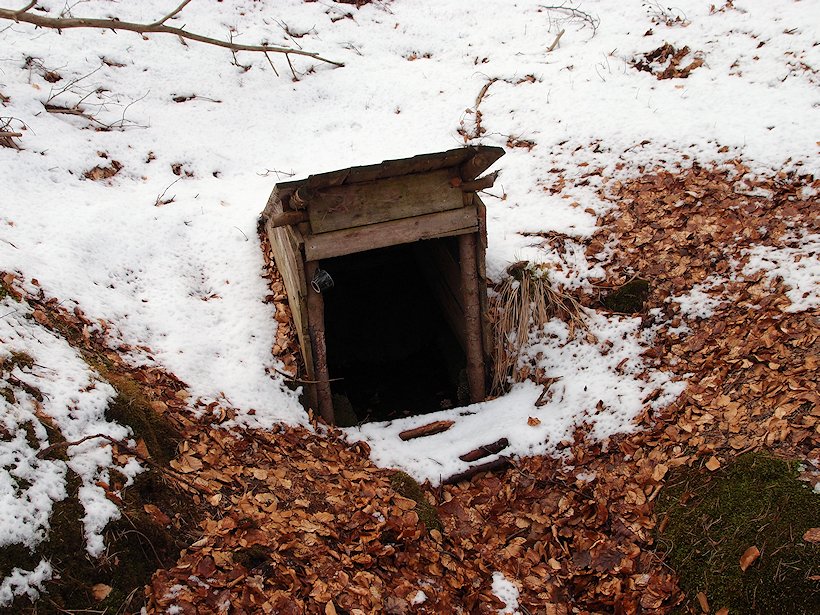 studánka U soch (6594) - březen 2013