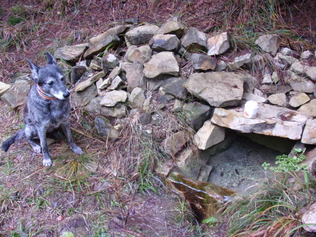 studánka U obrázku (6598) - listopad 2022