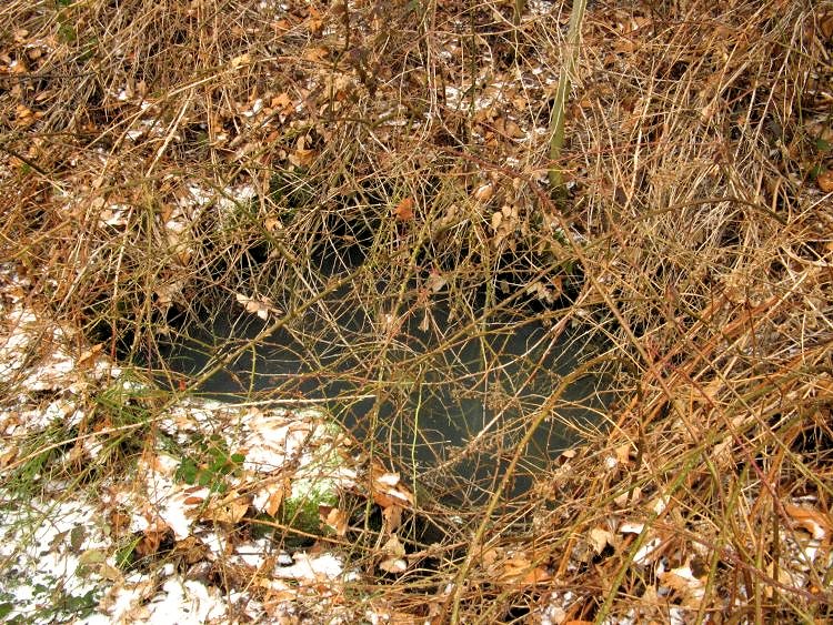 studánka U Goldů (6627) - duben 2013