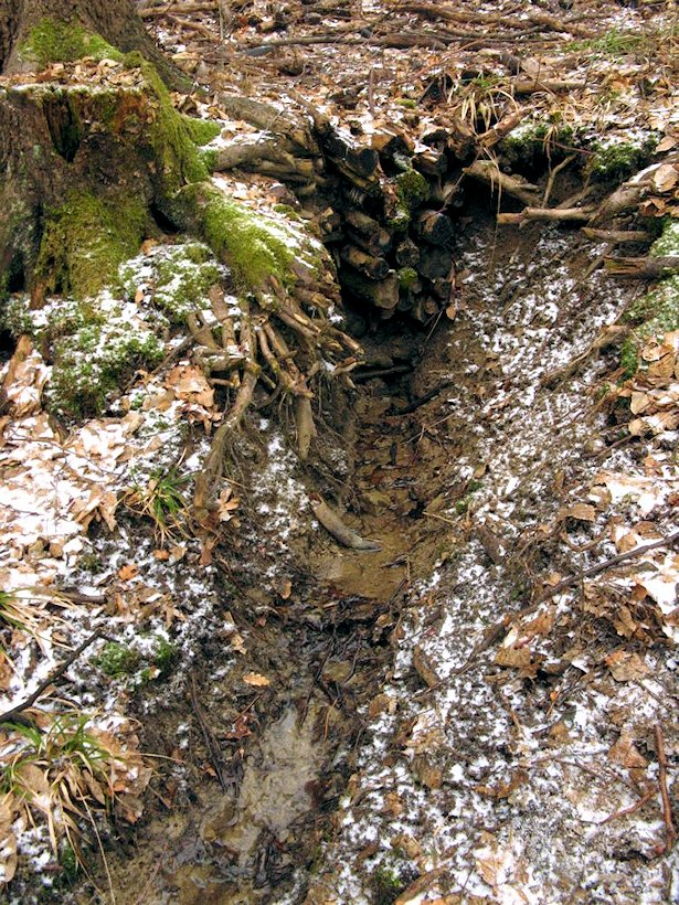 Dřevěný pramen (6629) - duben 2013