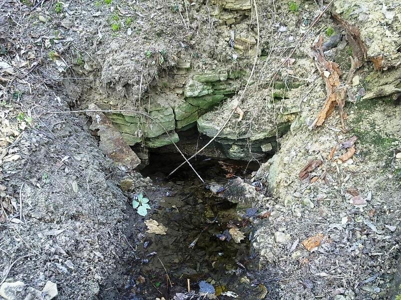 studánka Zárybský les (6630) - duben 2013