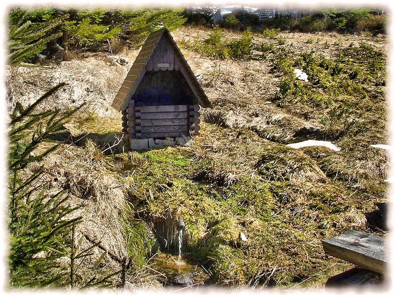 studánka U jezevce (6631) - duben 2013