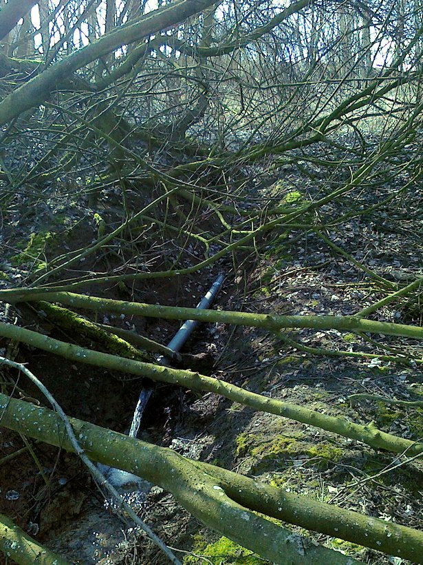 studánka Pod Pannou Marií (6653) - duben 2013