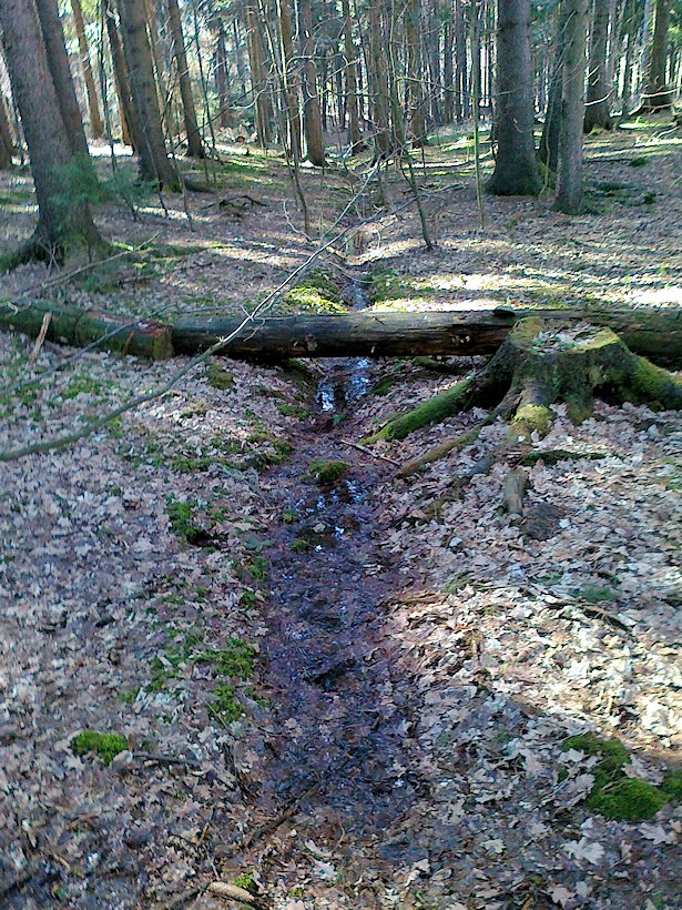 pramen Nad Malovou březinou (6654) - duben 2013